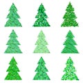 Collection of original green spruces.Vector illustration