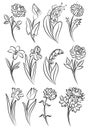 Collection of outlined flowers.