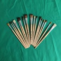 A collection of paintbrushes displayed on a green fabric backdrop Royalty Free Stock Photo