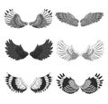 Collection of 6 pairs of elegant bird or angel spread wings isolated on white background. Symbol of flight and freedom