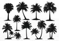Collection of palm tree silhouettes Royalty Free Stock Photo