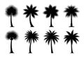Collection of palm tree silhouettes Royalty Free Stock Photo