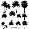 Collection of palm tree silhouettes Royalty Free Stock Photo