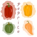 Collection of paprica illustrations. Idea for decors, icons, logo, kitchen and cooking themes. Isolated vectors.