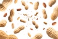 Collection of peanuts falling isolated on white background. Selective focus Royalty Free Stock Photo