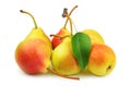 Collection pears Royalty Free Stock Photo