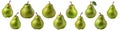 Collection of pears isolated on transparent background Royalty Free Stock Photo