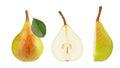 Collection pears Isolated on white background. Organic fresh pears isolated on white. File contains clipping path Royalty Free Stock Photo