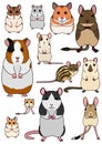 Collection of pet rodents