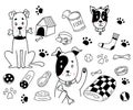 Collection of pets. Cute dogs with bone, meat and sausage, toys and paw prints, booth, blanket and collar. Vector