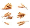Collection of photos wheat ears and seed isolated Royalty Free Stock Photo
