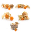 Collection of Physalis isolated on white Royalty Free Stock Photo