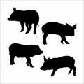 collection of pig silhouettes Royalty Free Stock Photo