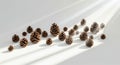 Pine Cones Arrayed on White Surface with Light Royalty Free Stock Photo