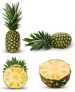 Collection pineapple fruit whole, cut in half with green leaves Royalty Free Stock Photo