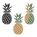 Pineapple fruit set