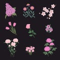 Collection of pink flowers on a black background. Peonies, lilac, tulips, chrysanthemums, pansies, rose, aster, crocuses