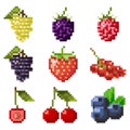 Collection of pixel berries