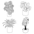 Collection with potted house plants