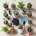 A hobby showcasing tools and plants with varying textures and colors Royalty Free Stock Photo