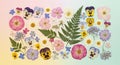 A collection of pressed flowers and Royalty Free Stock Photo