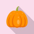 Collection pumpkin icon, flat style