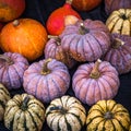 Collection of pumpkins at a farmers market