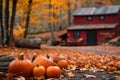 A collection of pumpkins sitting on the ground in front of a red house, Autumn scenery to capture the essence of Thanksgiving