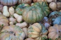 A collection of pumpkins and squash of different types and colors. Autumn harvest. Royalty Free Stock Photo