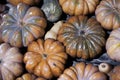 A collection of pumpkins and squash of different types and colors. Autumn harvest. Royalty Free Stock Photo