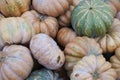 A collection of pumpkins and squash of different types and colors. Royalty Free Stock Photo