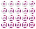 Collection of purple circle percentage diagrams for infographics