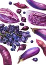 Collection of purple fruits and vegetables illustration in watercolor style on white background. Healthy food. Royalty Free Stock Photo