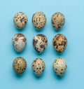 Collection of quail eggs on the blue.