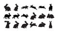 Collection of Rabbit Silhouettes in Various Poses and Actions Perfect for Design and Craft Projects Royalty Free Stock Photo