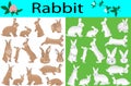 Collection of rabbits and its cubs