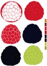 Collection with raspberries and blackberries with palette of used colors Royalty Free Stock Photo