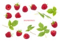 Collection of raspberries with green leaves isolated on white background. Sweet ripe fresh delicious raspberry, summer berry, Royalty Free Stock Photo