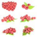 Collection of raspberries over a white background Royalty Free Stock Photo