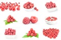 Collection of raspberry with leaf isolated on a white background cutout Royalty Free Stock Photo