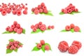 Collection of raspberry with leaf isolated on a white background cutout Royalty Free Stock Photo