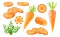 Collection of raw cut and whole carrots with leaves, isolated on white background Royalty Free Stock Photo