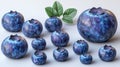 Collection of realistic blueberries of various sizes on white background. Royalty Free Stock Photo