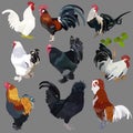 Collection of realistic of various breeds in various postures