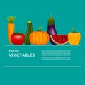 Collection of realistic healthy vegetables such as: carrot, tomato, pepper, eggplant, pumpkin, marrow, zucchini