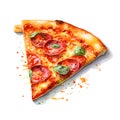 collection of realistic slice of pizza isolated on transparent background on png file.