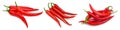 Collection red chili pepper isolated on white Royalty Free Stock Photo