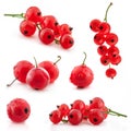 Collection of red currant Royalty Free Stock Photo