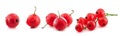 Collection of red currant isolated on a white Royalty Free Stock Photo