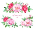 Collection of Red and pink roses with buds and green leaves Royalty Free Stock Photo